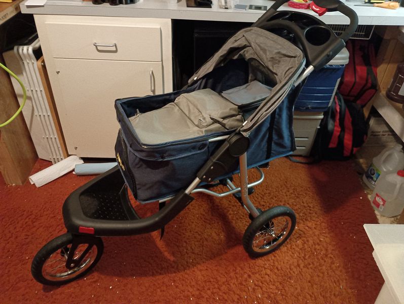 Loaded Cart I