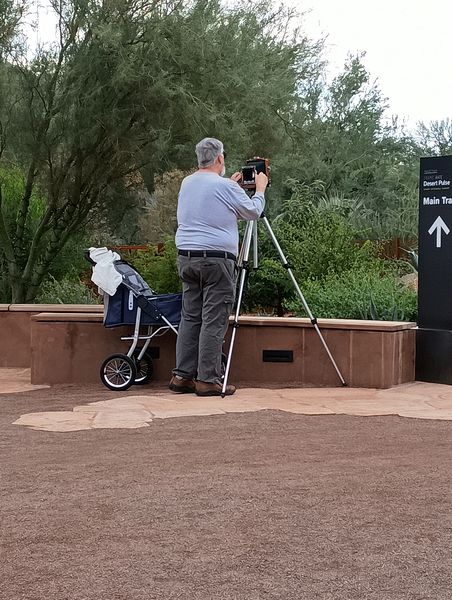 Cart Action I
