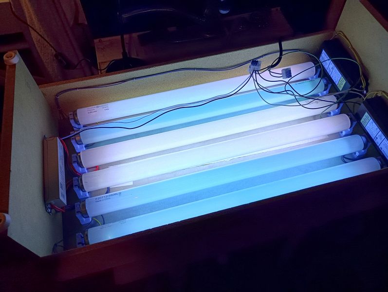 Lamp Test