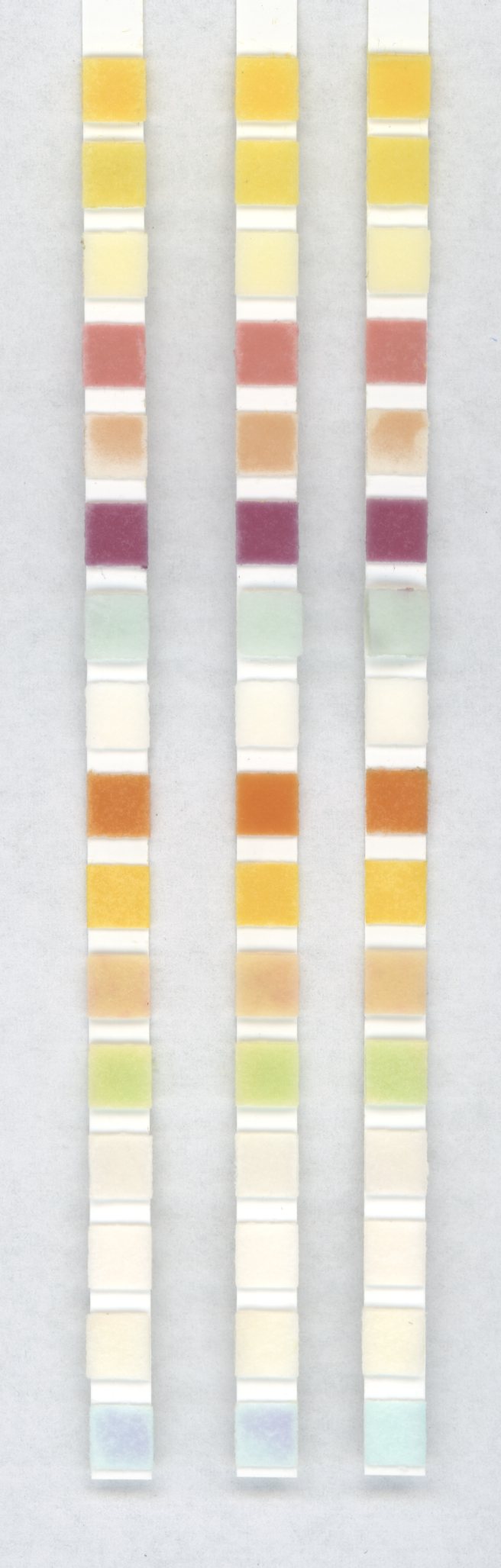 Test Results