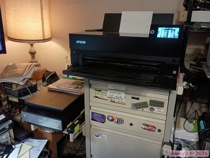 Epson P900