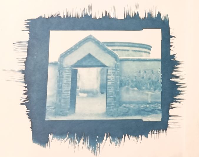 Cyanotype Experiment I