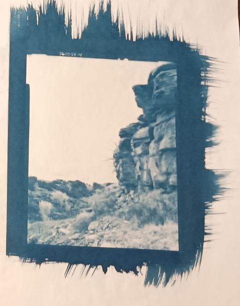 Cyanotype Experiment II