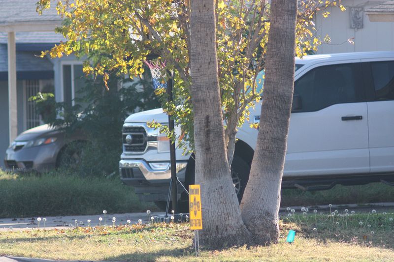 Test Shot 500mm SMC Pentax 67