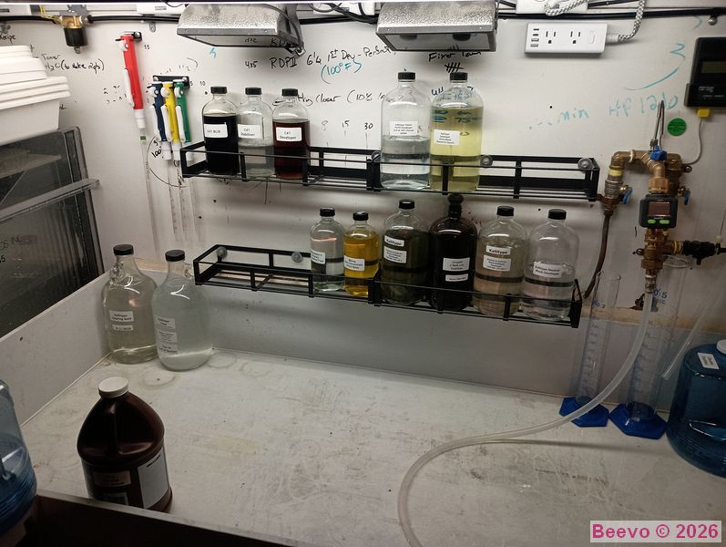 Bottle Racking II