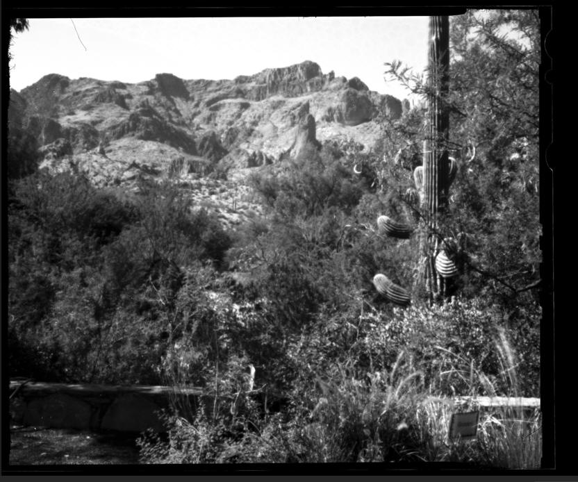 Boyce thompson Arboretum